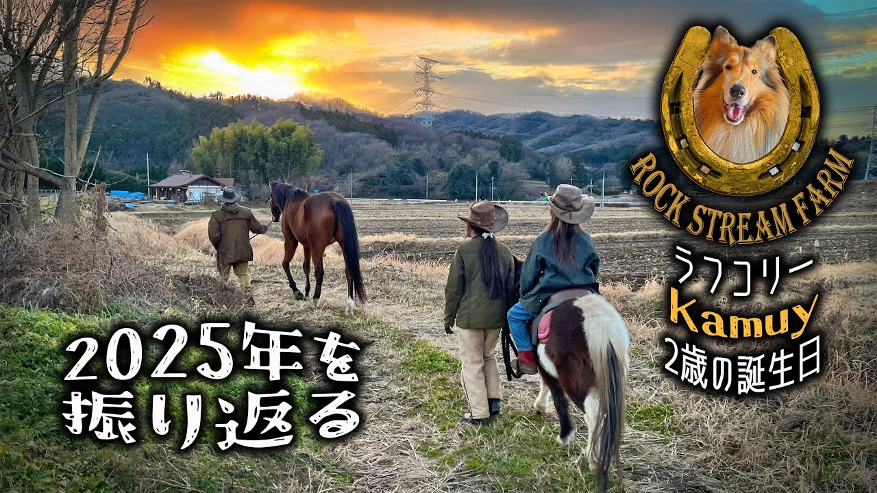 馬と暮らす我が家の2025年を振り返る・ラフコリーKamuy２歳の誕生日／Kamuy’s 2nd Birthday ＆ Looking Back on 2025 Vol.153【RSF】