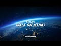Walk On Minks Future LYRICS mp3