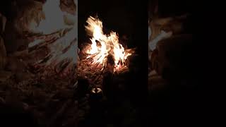 Gece, Ateş, Çay Ve Kitap. Huzurun Resmi Ya Sizce ?