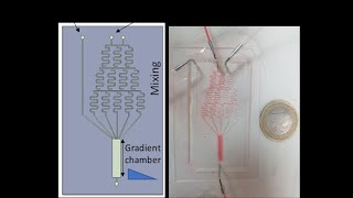 BIOIC Polymer-based Soft Micro Robot