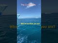 YOU THINK YOU RE BIG Shorts Shortsvideo Shortsfeed Cruise Cruiselife Caribbean Love Ncl mp3