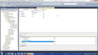Ado Net adding rows in db using c# code.wmv