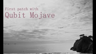 Qubit Mojave: an abstract