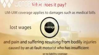 Trucking Insurance: Uninsured/Underinsured motorists (UM/UIM)