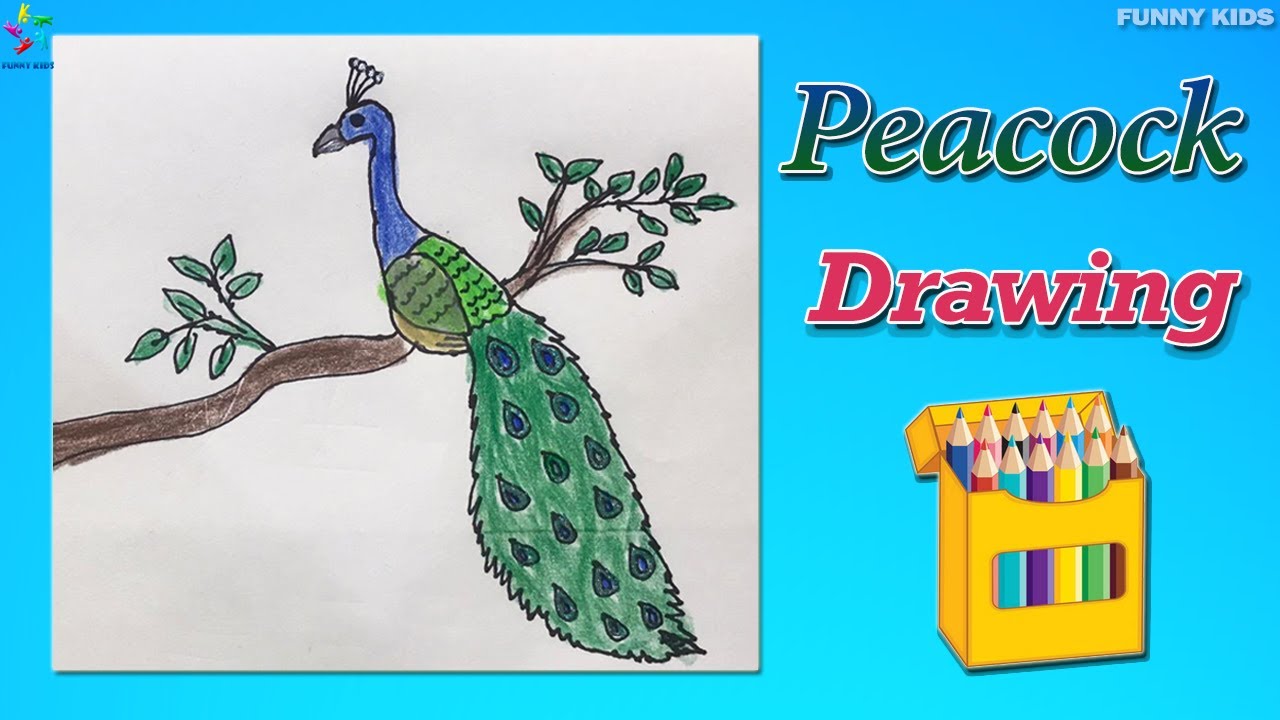 Peacock drawing for kids | Easy peacock drawing for kids | Funny kids -  YouTube