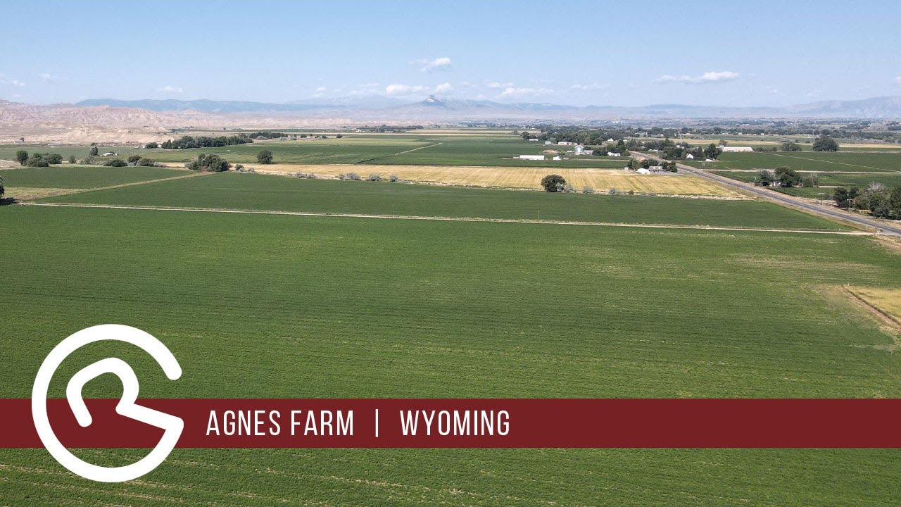 Wyoming Land for Sale Agnes Farm Mason & Morse Ranch Company {SOLD