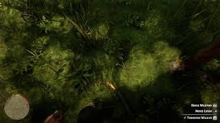 Rdr2 Messing Around with the NG Plus Glitch