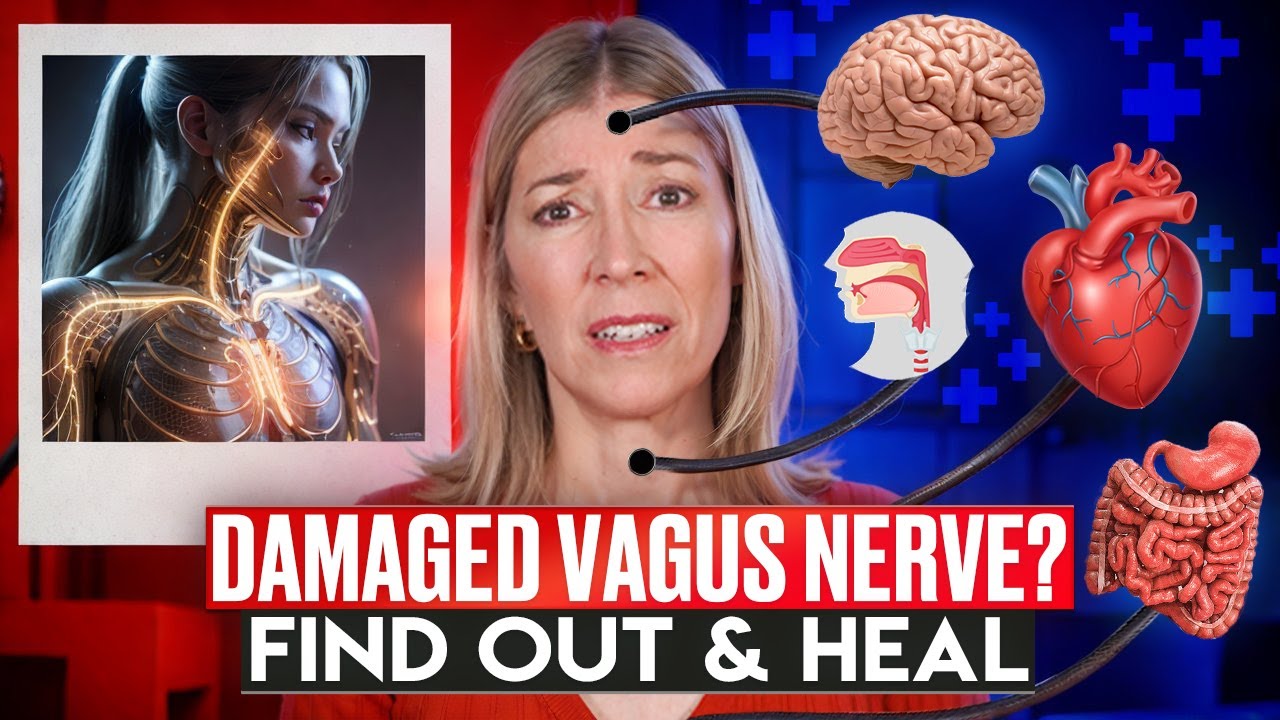 is-my-vagus-nerve-damaged-find-out-now-youtube