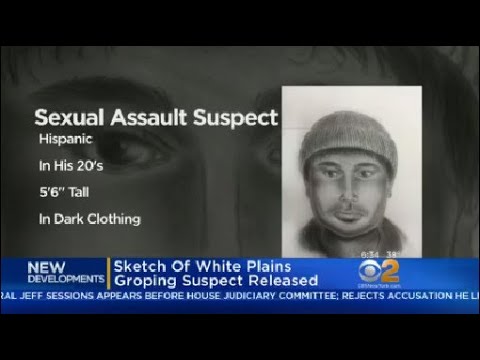 Sketch Of White Plains Groping Suspect Released