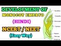 Development of Monocot Embryo/ Hindi (Easy Way)