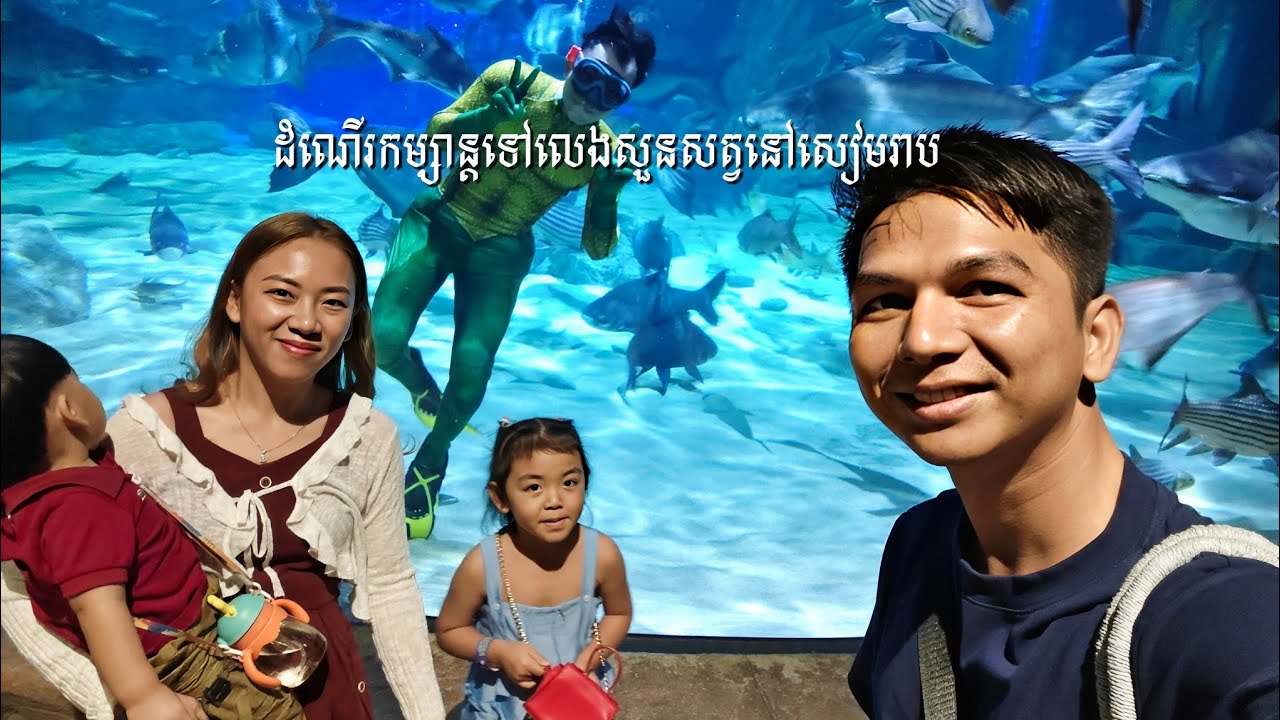 ដំណើរកម្សាន្តទៅកាន់ពិភពត្រីមើលការសំម្ដែងត្រីមច្ឆានៅសៀមរាប🐳🐟