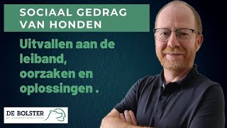 Valt jouw hond uit aan de leiband?