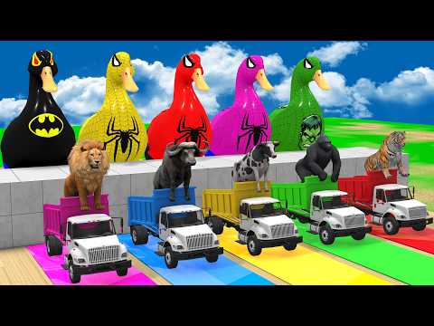 Long Slide Game With Cow Elephant Gorilla Hippopotamus Tiger 3d Animal Game Funny 3d Animals