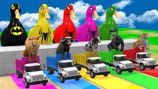 Long Slide Game With Cow Elephant Gorilla Hippopotamus Tiger 3d Animal Game Funny 3d Animals screenshot 5