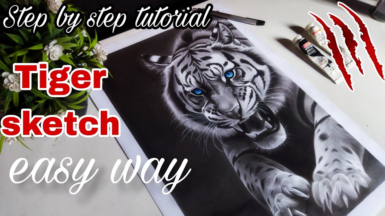 Realistic Tiger Drawing Tutorial Step by Step | Pencil Sketch for ...