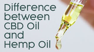 Difference between CBD Oil and Hemp Oil