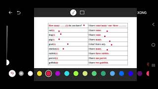 Grade 3 - Unit 16 - My pets - Lesson 2