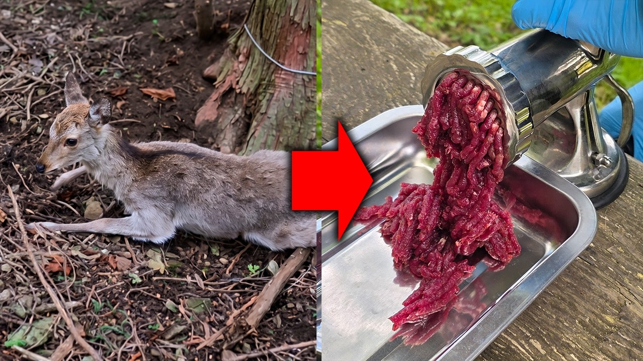 【実質0円】罠で獲った子鹿とその辺の草でファミレス風ハンバーグを作るだけ。