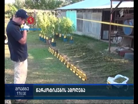 შსს-მ 4 კილოგრამზე მეტი კანაფი ამოიღო