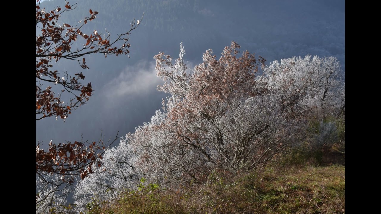 Hiver gelé au Viala du Tarn