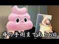 【vlog】鷲見玲奈さんの写真集『すみにおけない』がすみにおけなかったので買ってみたら‥#shorts