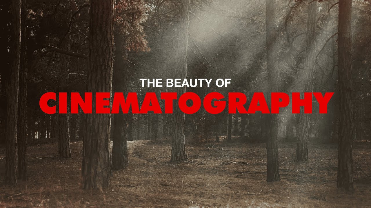 The Beauty of Cinematography