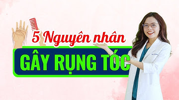 5 Nguyên nhân hàng đầu gây rụng tóc ở nữ và cách khắc phục tại nhà - Bác sĩ Nguyên