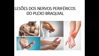 Lesões do Plexo Braquial Lesões do Plexo Braquial