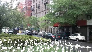 625 Park