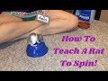 How to Train A Rat to Spin How to Train A Rat to Spin
