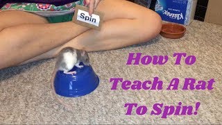 How to Train a Rat to Spin