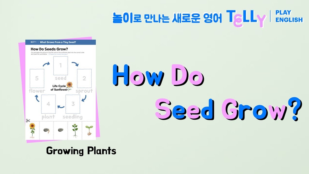[텔리잉글리시 TELLY ACTIVITY] 1. How Do Seeds Grow? - YouTube