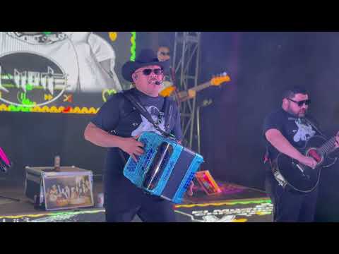 El Músico Chiflado - Q Norte (LiveSession) 2026