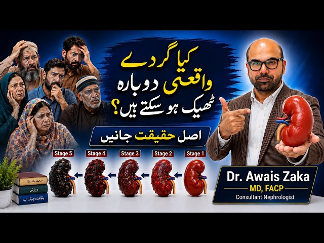 Can kidney disease be cured from all stages of CKD? | Episode 338