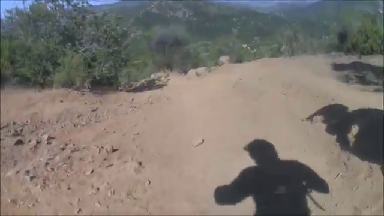 Km19 machali - YouTube