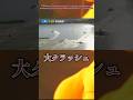 【危険】大事故に繋がった4号艇の捲り#ボートレース#競艇#shorts