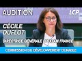 Ccile duflot est auditionne par la commission du dveloppement durable  15052024