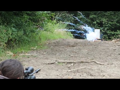 Firebird Exploding Targets! UK Blowing Up Fruit And Other Stuff With The Walther RM8