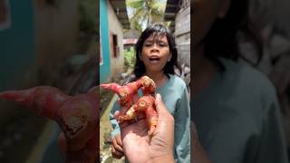 Ooo It Galangal shorts