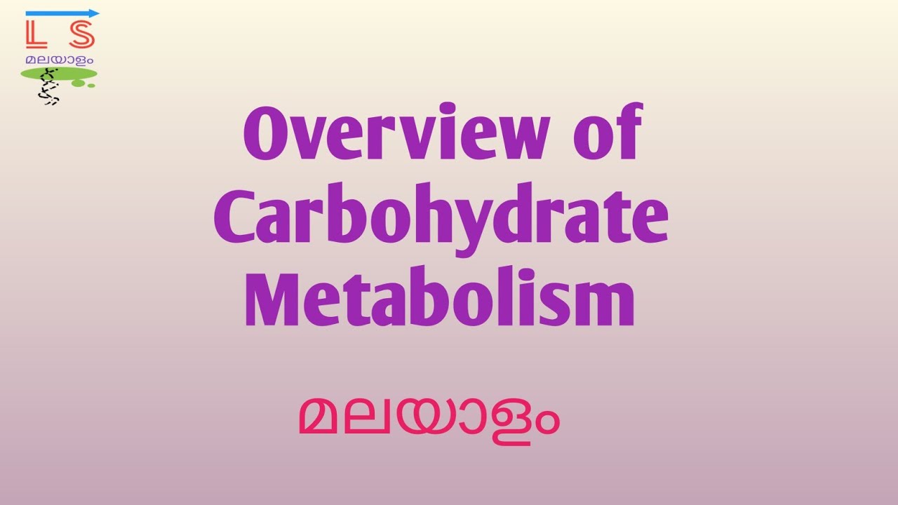Overview of Carbohydrate Metabolism Pathways Biochemistry