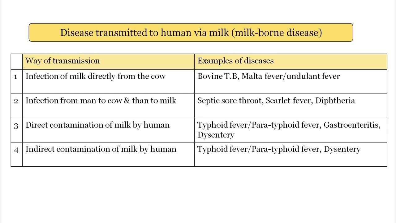 Can Typhoid Be Transmitted Through Breast Milk