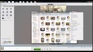 How to Picasa: Save, duplicate and add text to photos