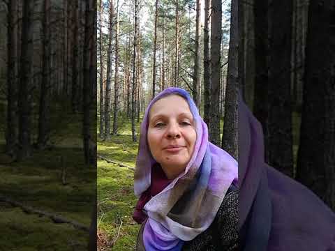 Video: Aš Išbandžiau „Miško Terapiją“. Štai Tai Padarė Mano Psichinei Sveikatai
