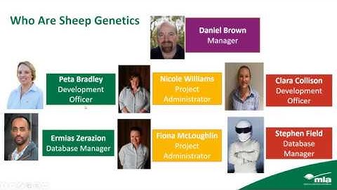 Quantitative Prime Lamb Genetics and ASBVs and breeding indices