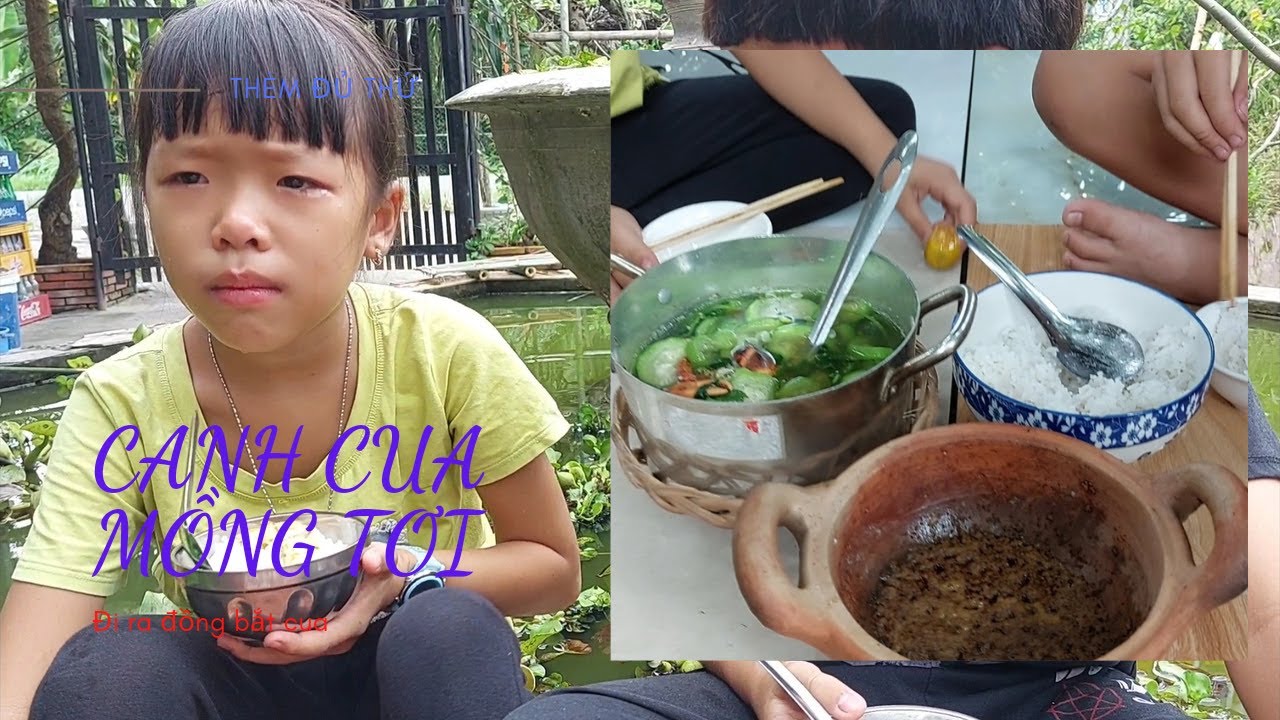 Canh cua đồng mồng tơi/ Kỳ kỳ tv