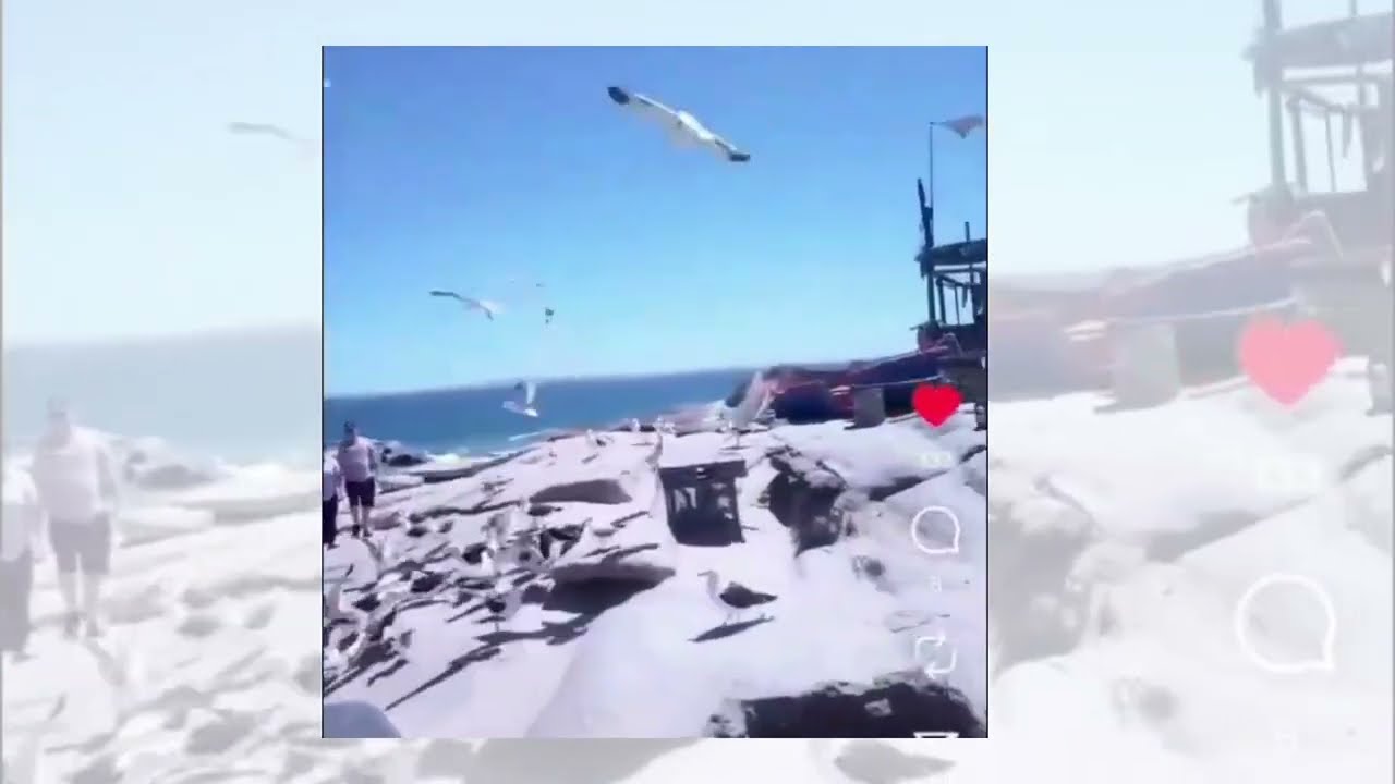 Stunning West Coast charm – fish menu – bubbles on the beach!