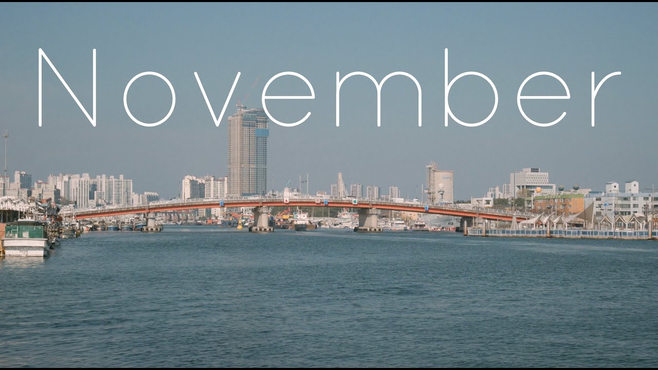 시네마틱 브이로그 | 2025.11 | 영천 은해사 • 제철 과메기 • 포항 죽도시장 • 대구 편집삽 • 디저트 • 카페 • 계명대학교 대명캠퍼스 • 푸라닭 고추마요