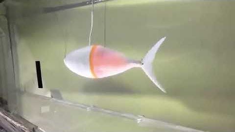 Video of the Day: Tunabot