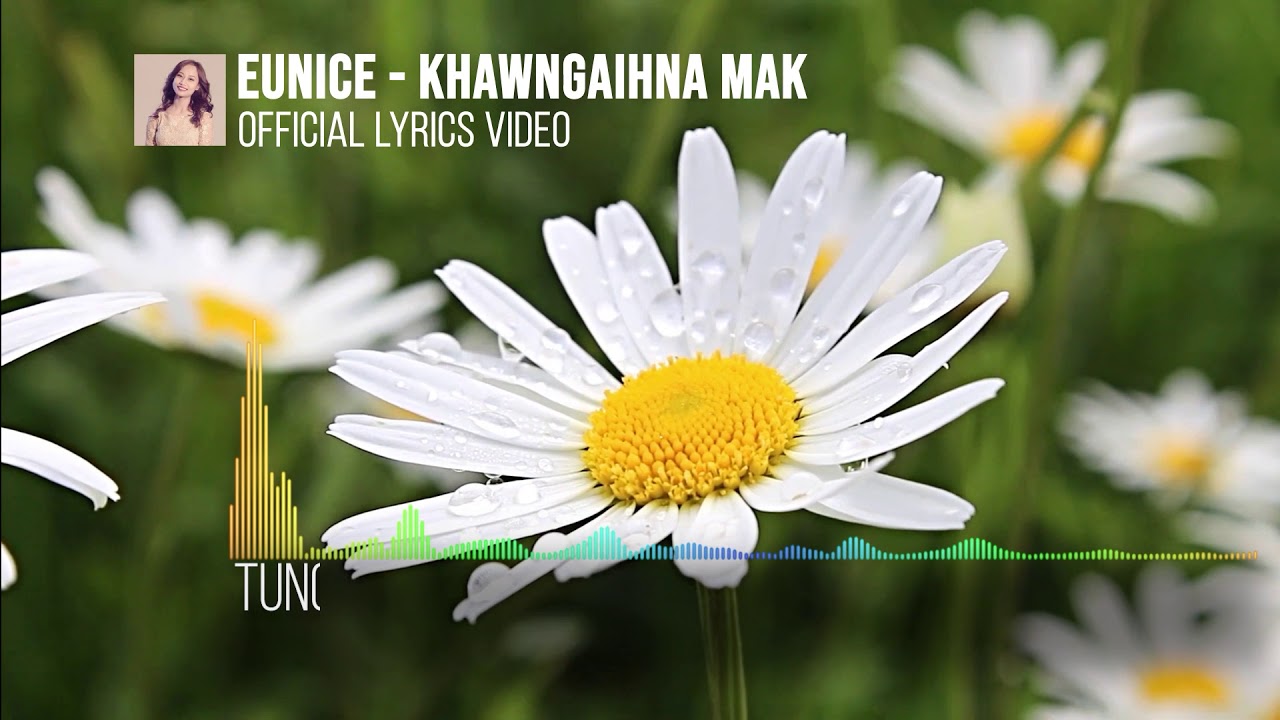 Eunice Lalngaihsaki   Khawngaihna mak Official Lyrics Video