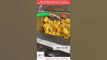 Báo Giá MÁY CẠO VỎ CỦ QUẢ CX60 - 0973110295